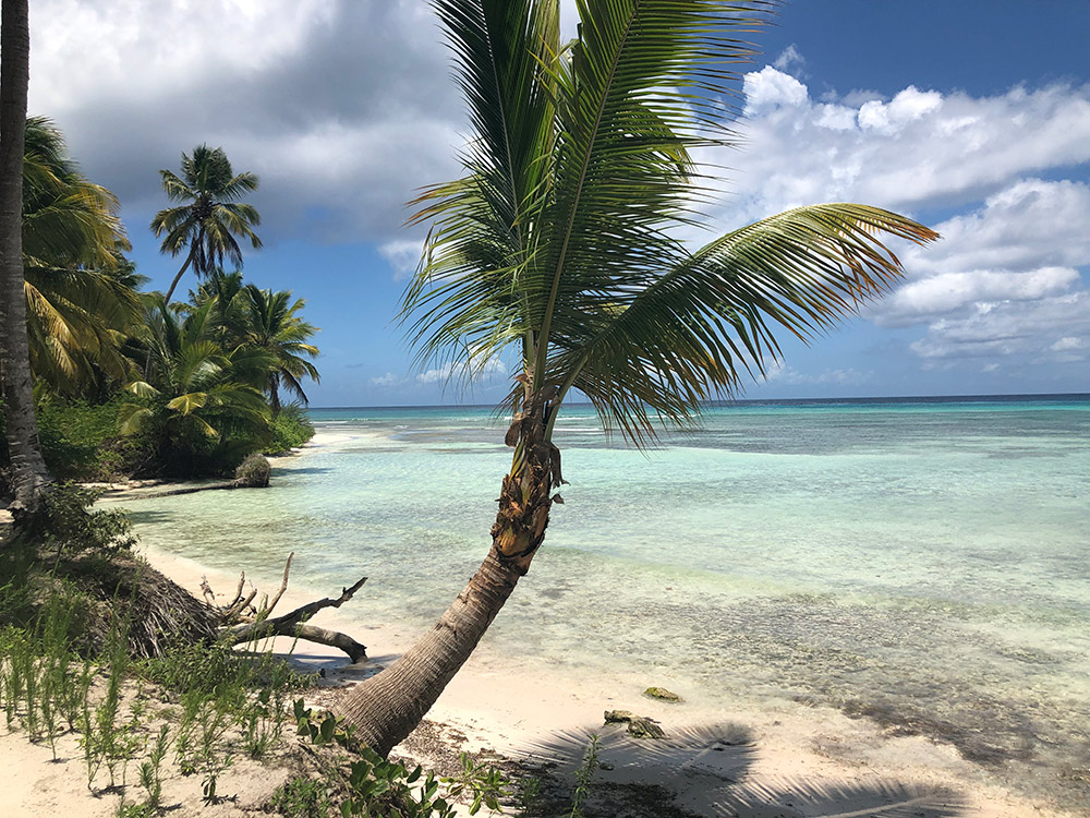 Atlantic Princess Wreck Diving With ScubaCaribe In The Dominican Republic