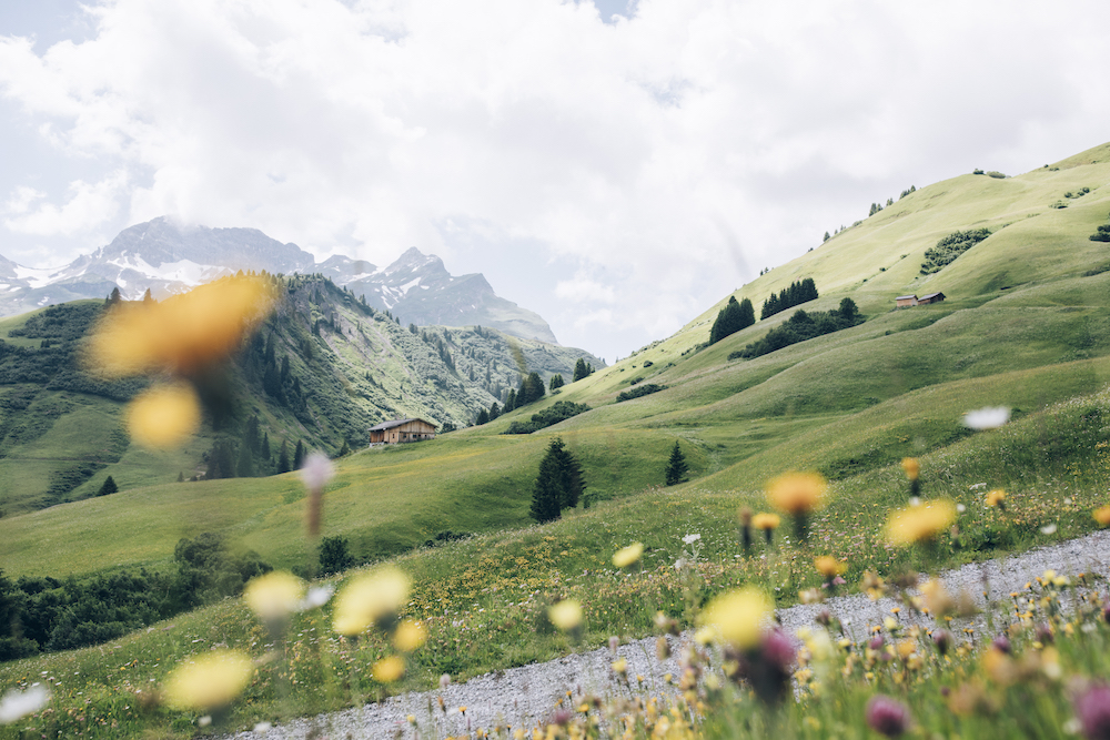 Genteel Lech Am Arlberg Ski Resort In Austria