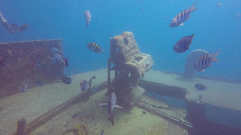 Atlantic Princess Wreck Diving With ScubaCaribe In The Dominican Republic