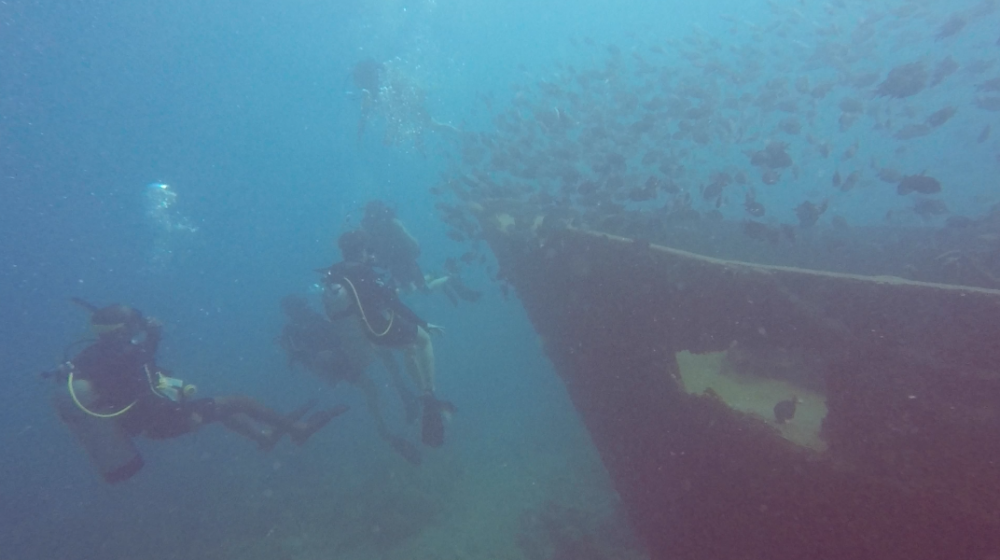 Atlantic Princess Wreck Diving With ScubaCaribe In The Dominican Republic