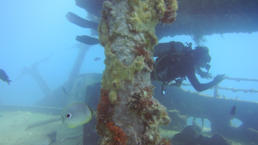 Atlantic Princess Wreck Diving With ScubaCaribe In The Dominican Republic