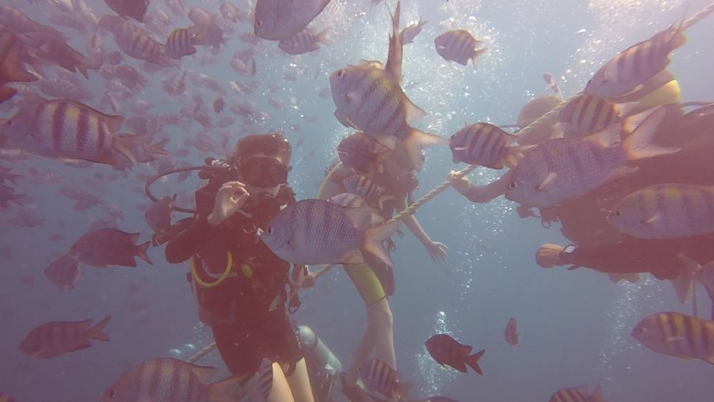 Atlantic Princess Wreck Diving With ScubaCaribe In The Dominican Republic