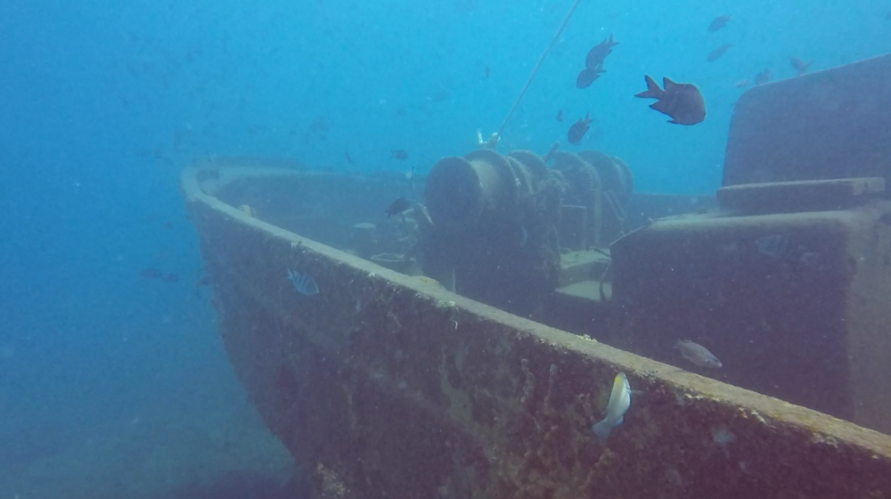 Atlantic Princess Wreck Diving With ScubaCaribe In The Dominican Republic