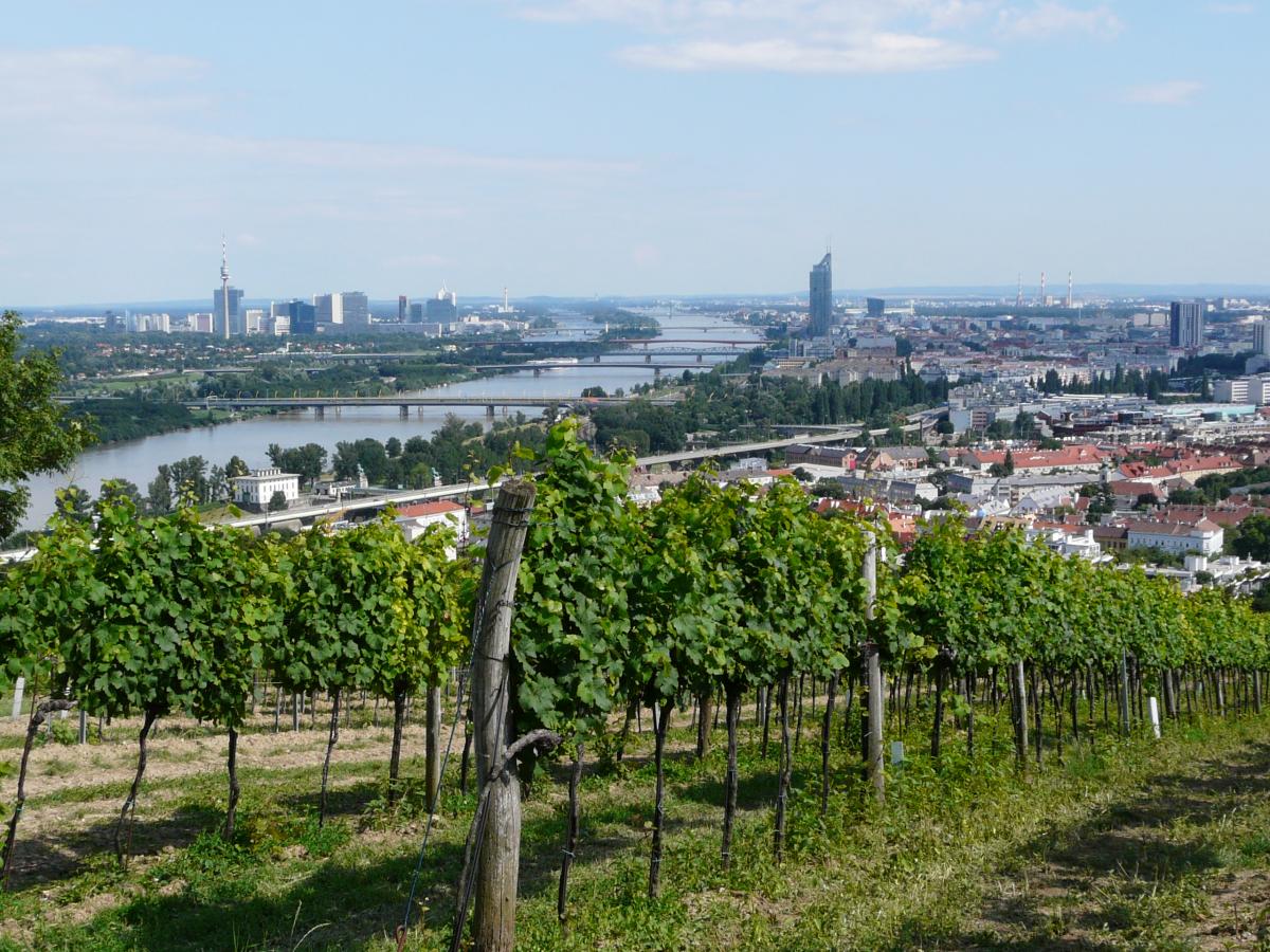 Vista over Vienna from Nussberg Hill 