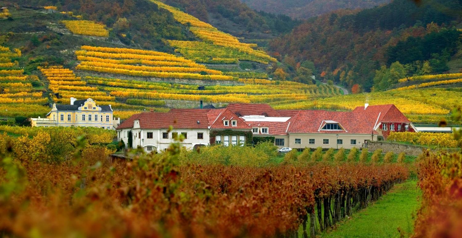 Domäne Wachau Winery 