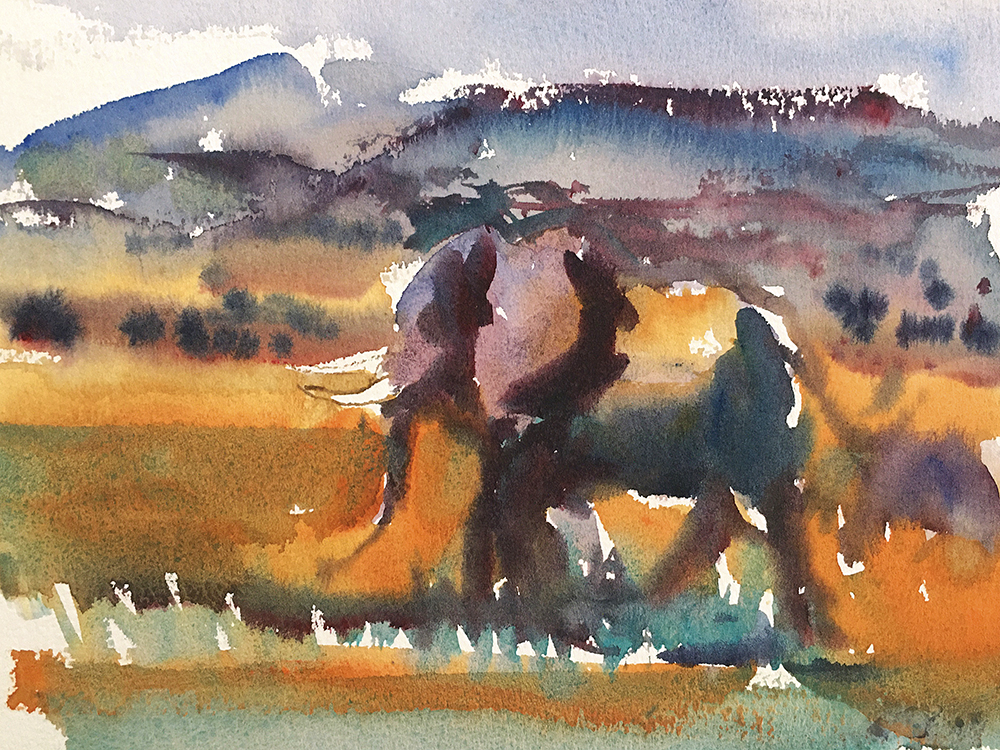 Elephant Study