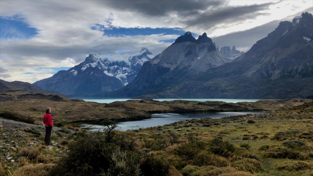 Passage To Patagonia: An Expedition Cruise On Island Sky | IX Magazine