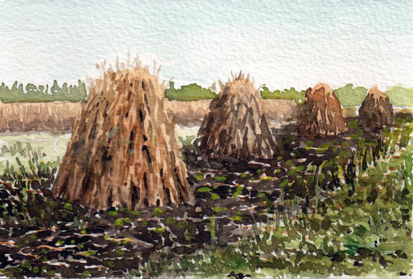 Near Békéscsaba, watercolour, 10 x 15 cm 
