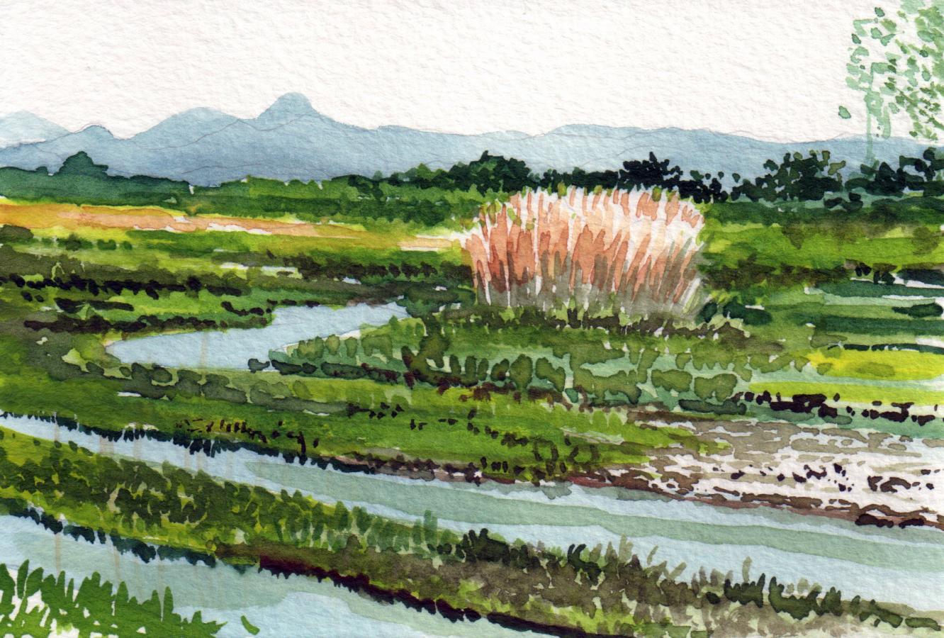 Mekta river, watercolour, 10 x 15 cm 
