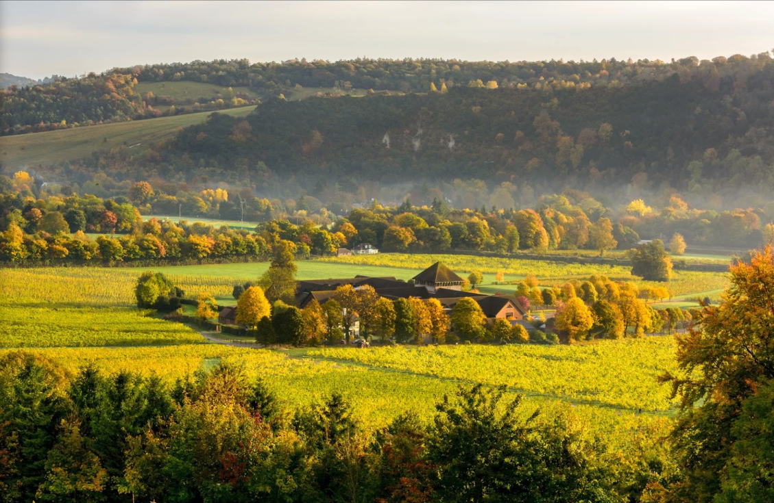 Denbies Wine Estate