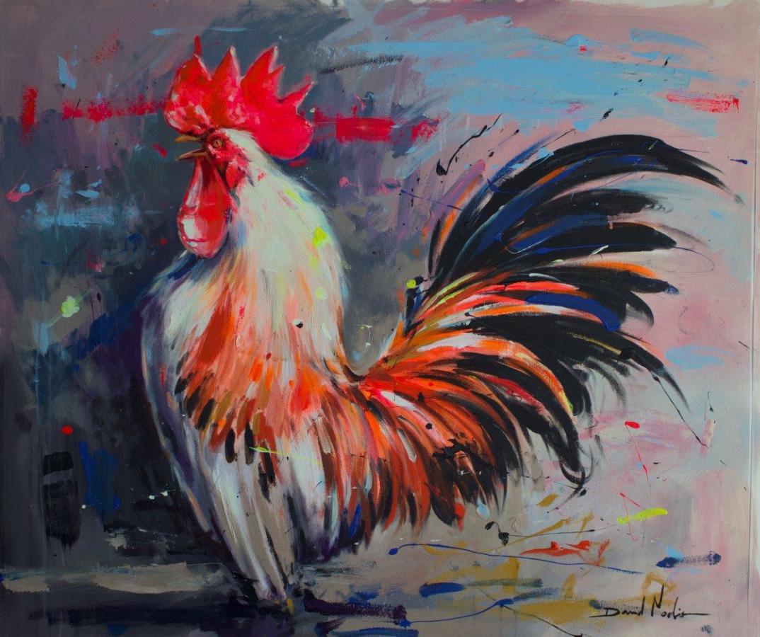 Gallo 1 