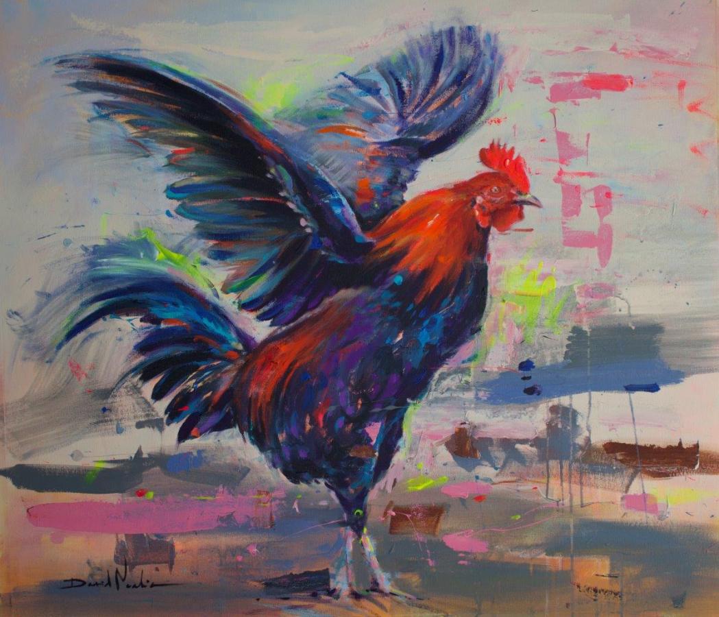 Gallo 3 