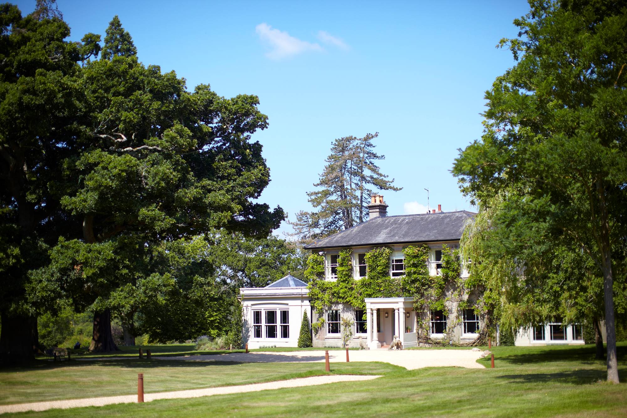 The Pig Hotel & Restaurant