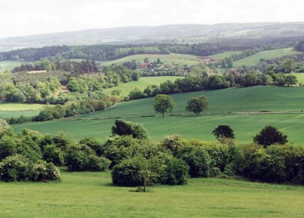 The Hogs Back