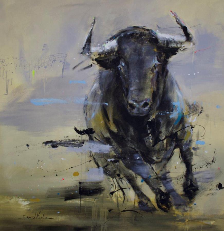 Toro español 6