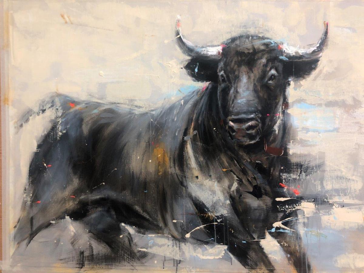 Toro español 8