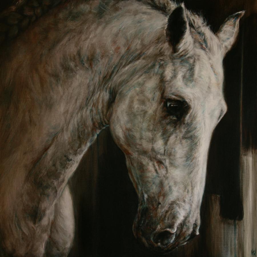 Hester van Wijngaarden's Lusitanian, 60 x 60cm.