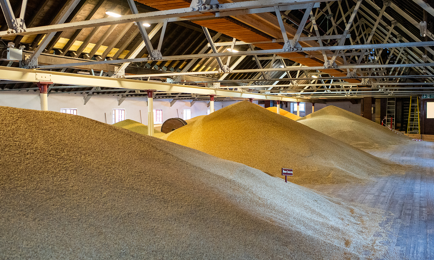 The malting floor