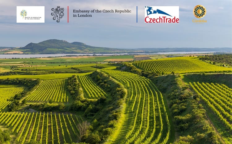 Czech Wine Day 2022