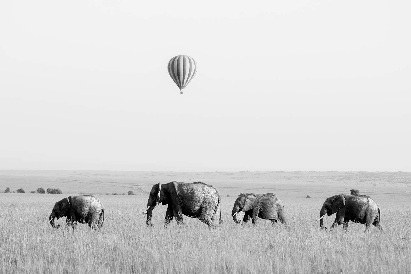 Kenya. Nikon D750 20 – 70mm