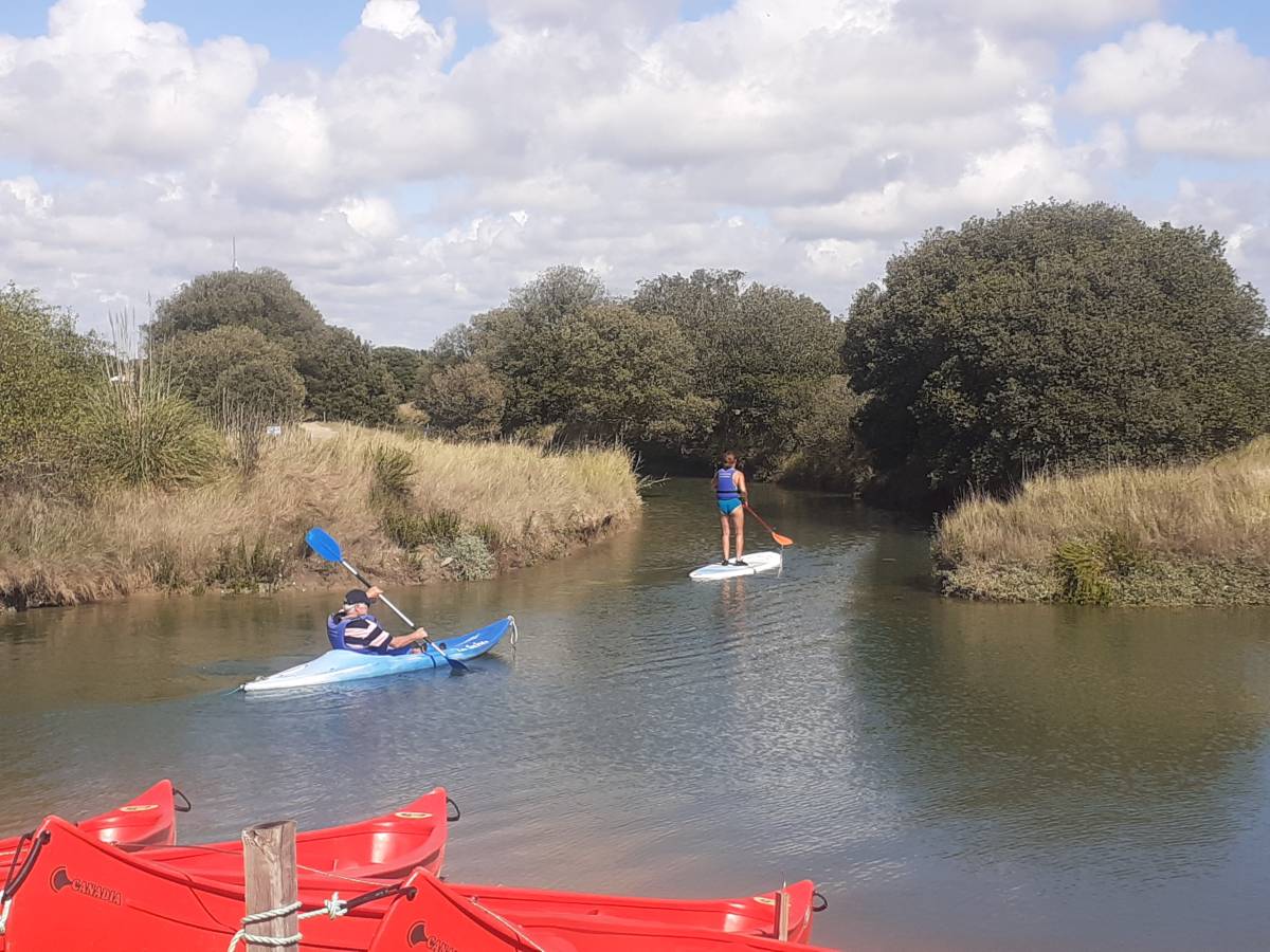Paddle-Boarding