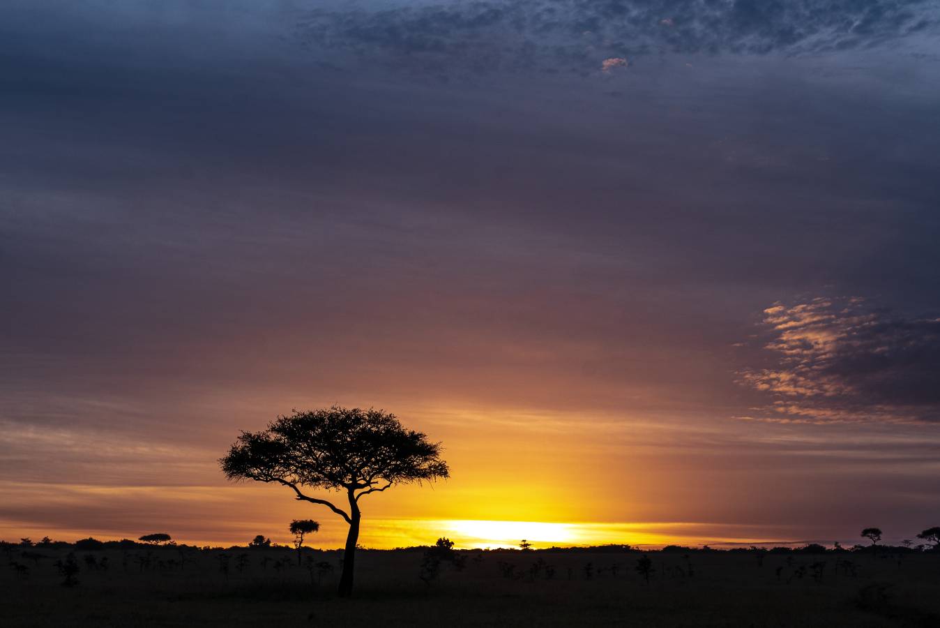 Kenya.  Nikon D750 70 – 200mm
