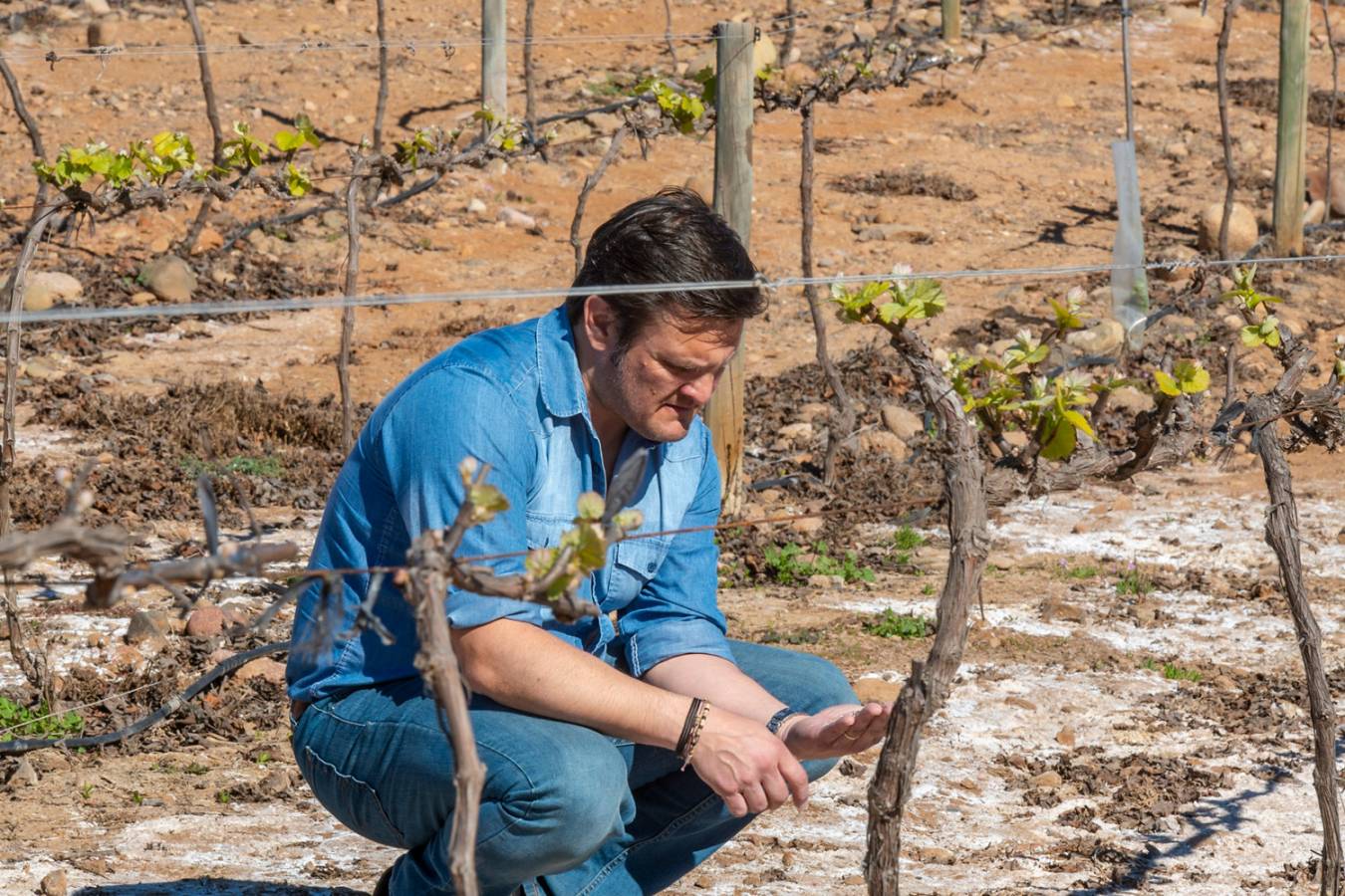 Alejandro Galaz attends to the vines