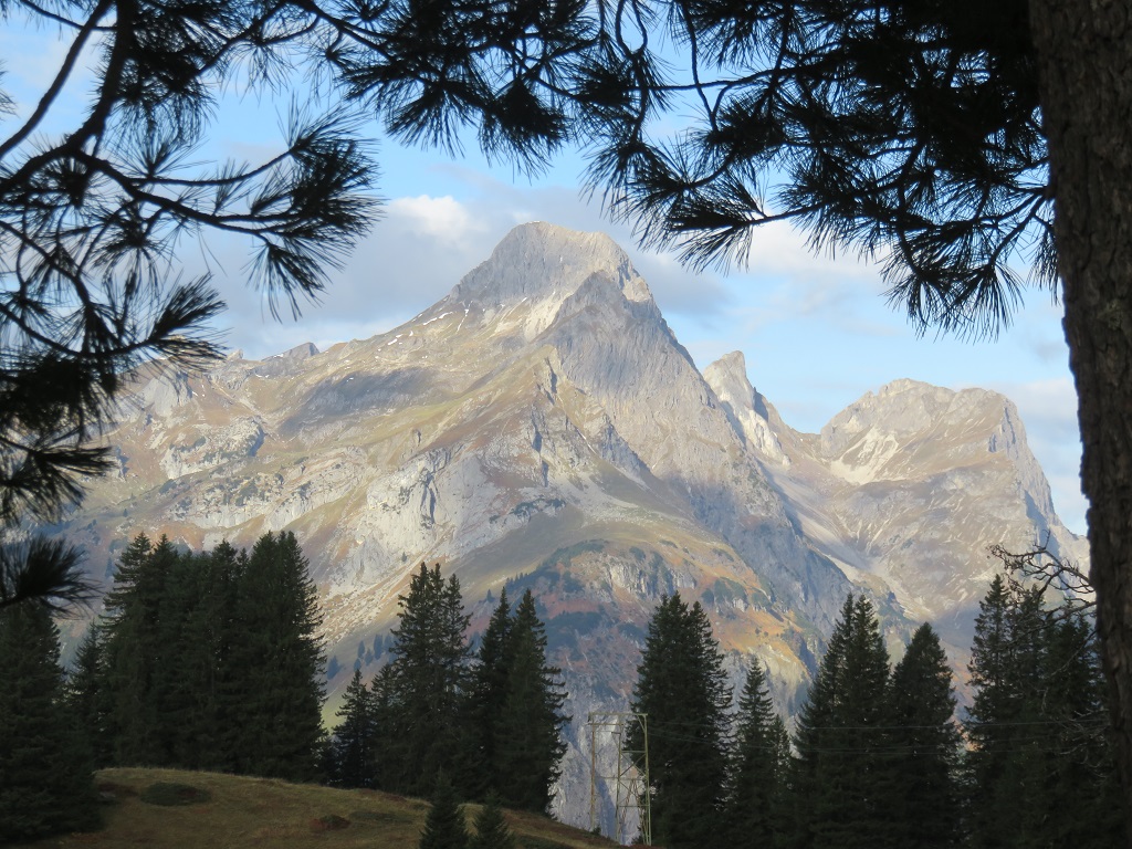 Mountain Vistas