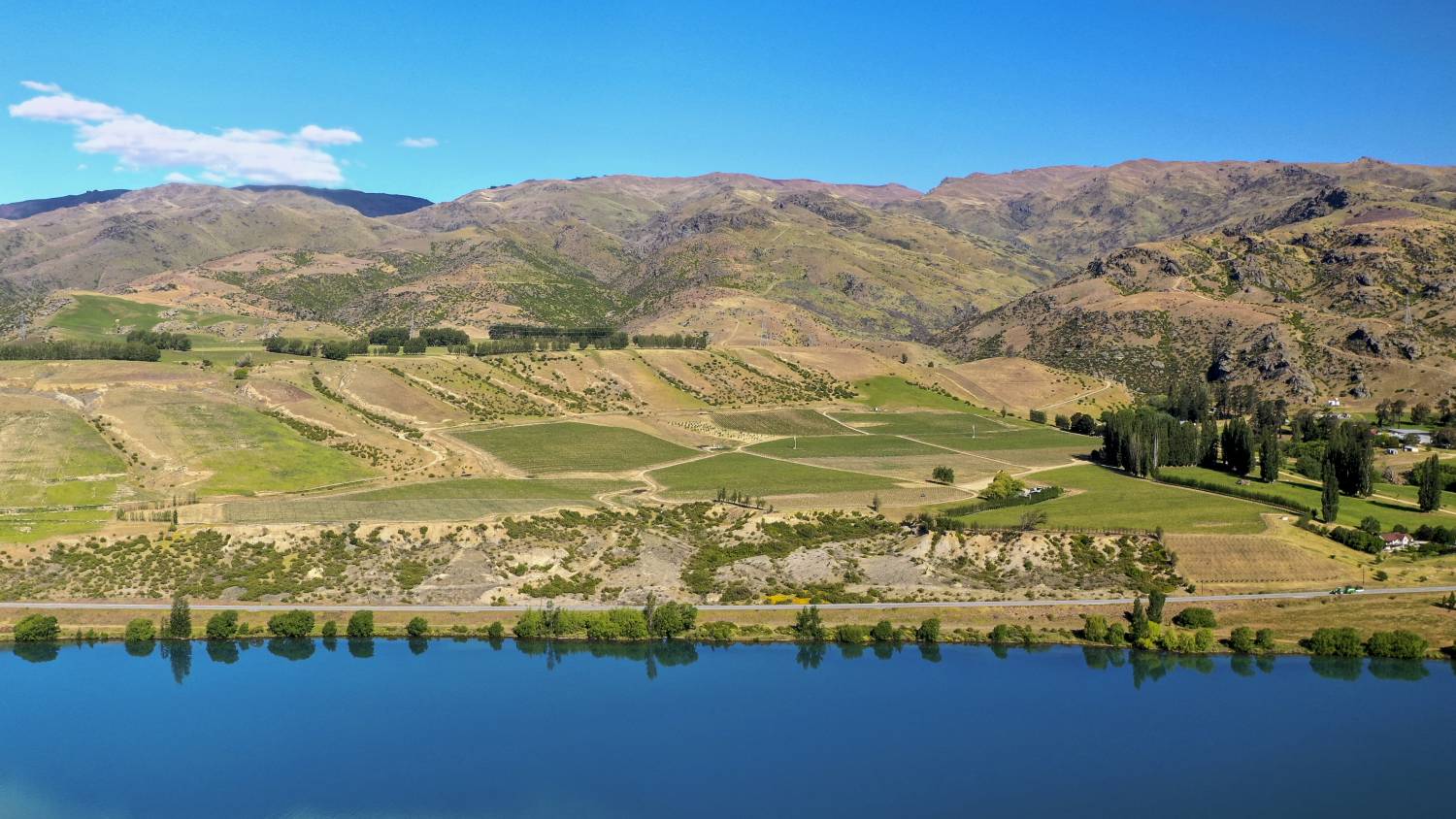 Landscape showing the Cloudy Bay vineyards