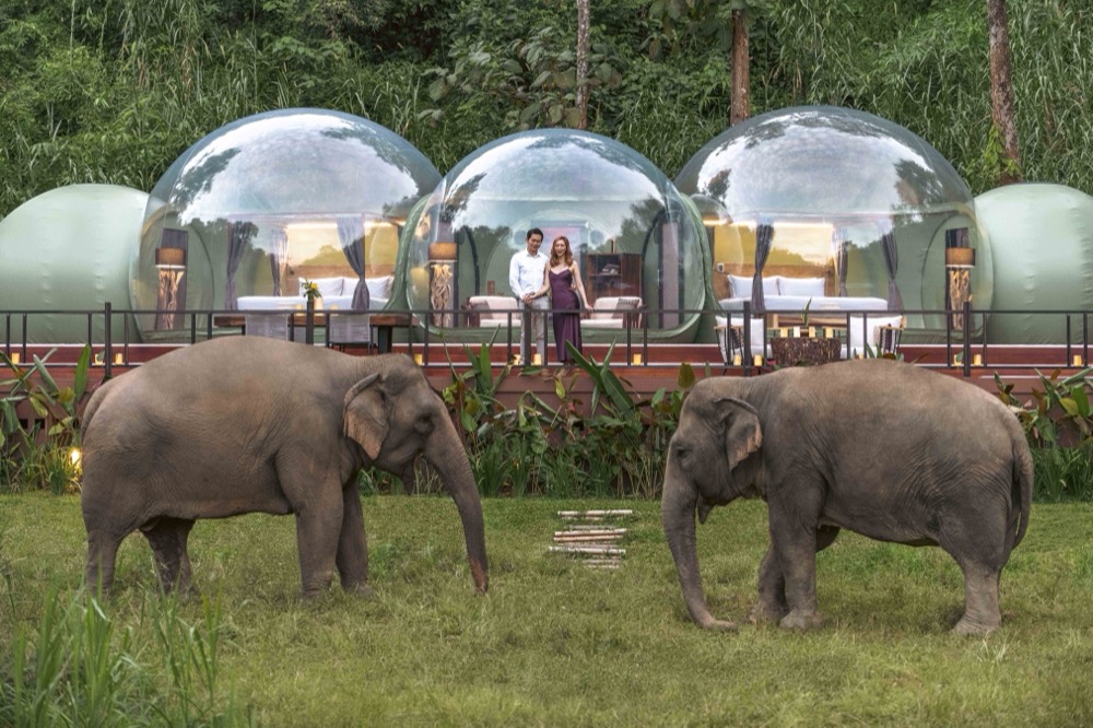 Anantara Elephant Jungle Bubbles Thailand