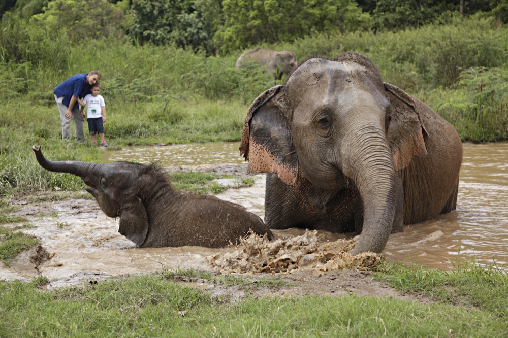 Anantara Elephant Camp Thailand