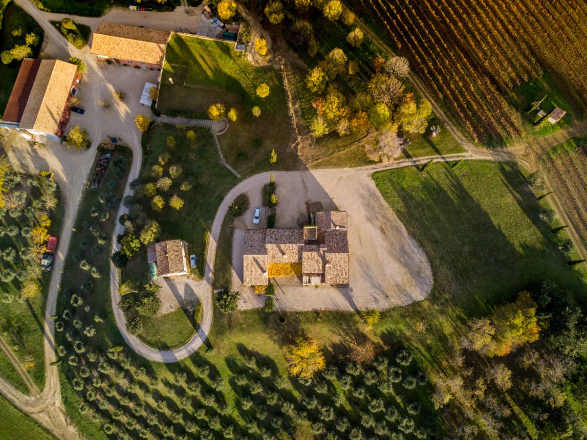 The Tavignano Estate from above