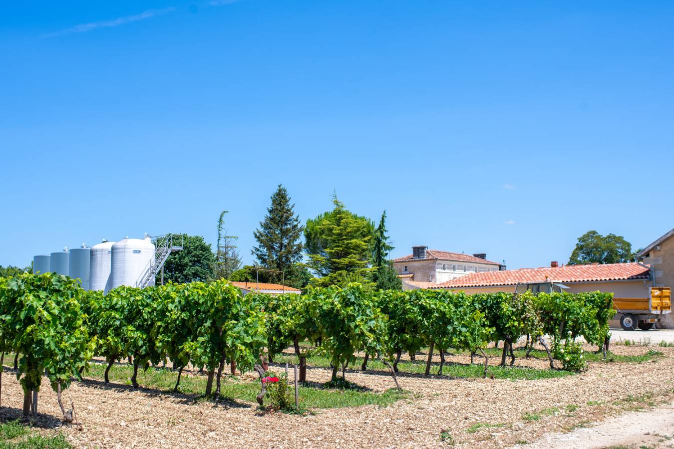 Domaine Guilloteau