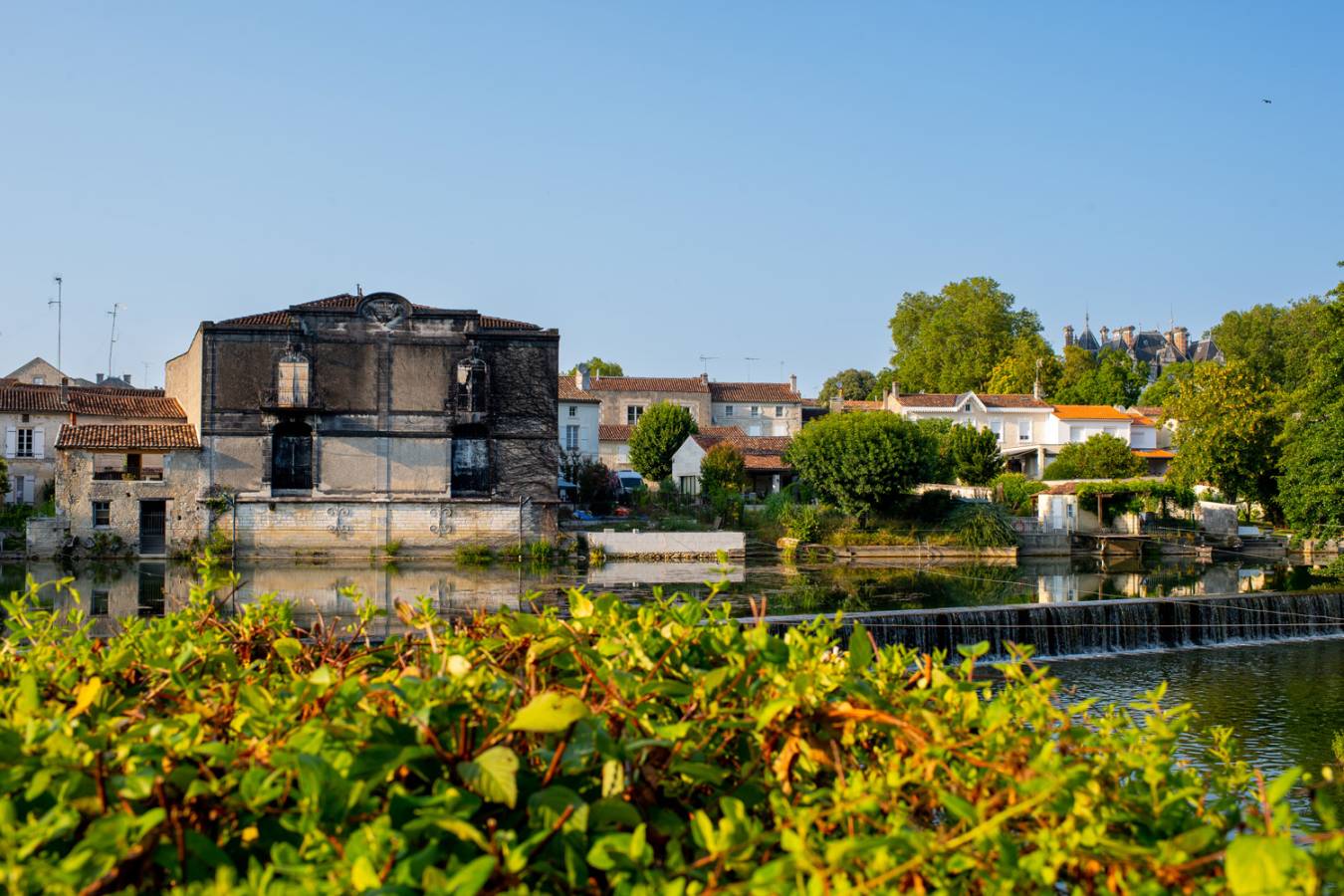 Courvoisiers Louis Renard cellars