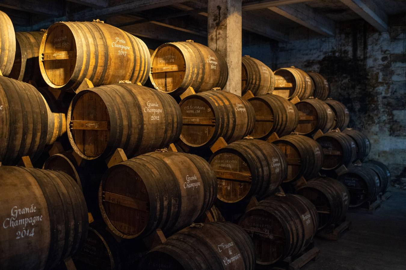 Barrels maturing inside the Louis Renard cellars 