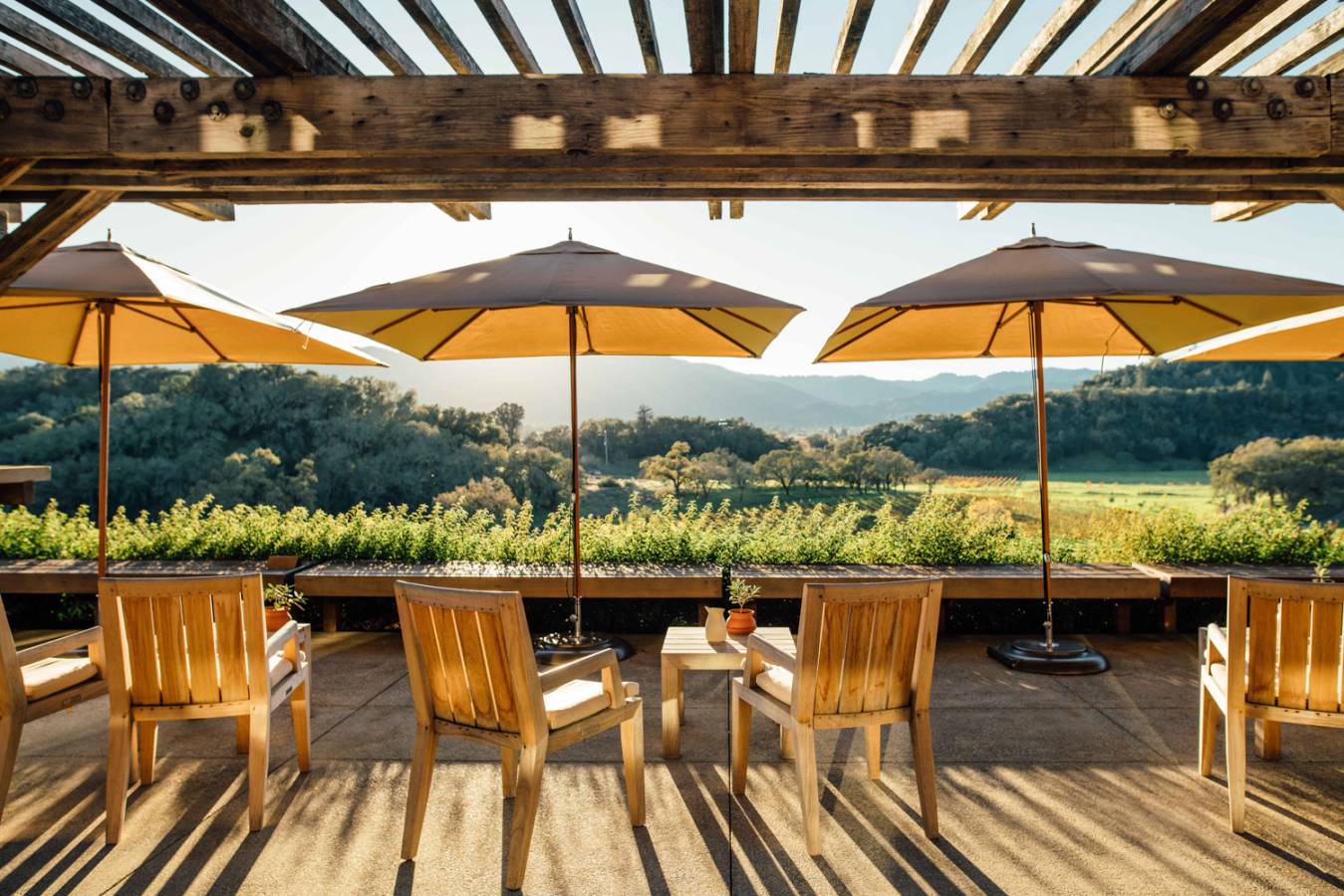 A view from the terrace