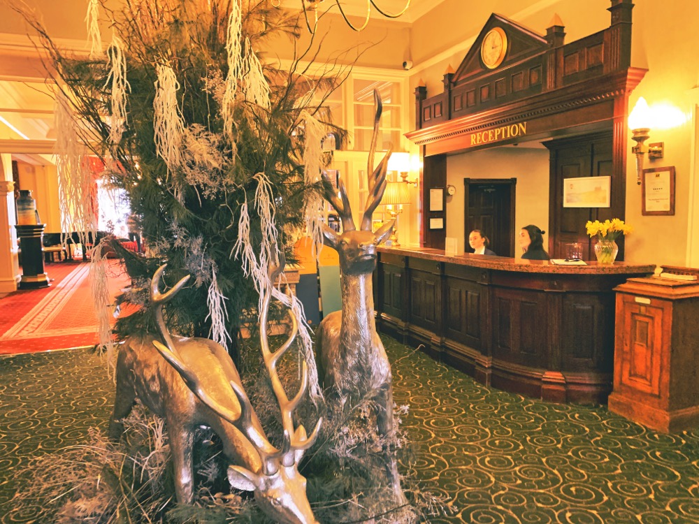 Headland Hotel Cornwall Review