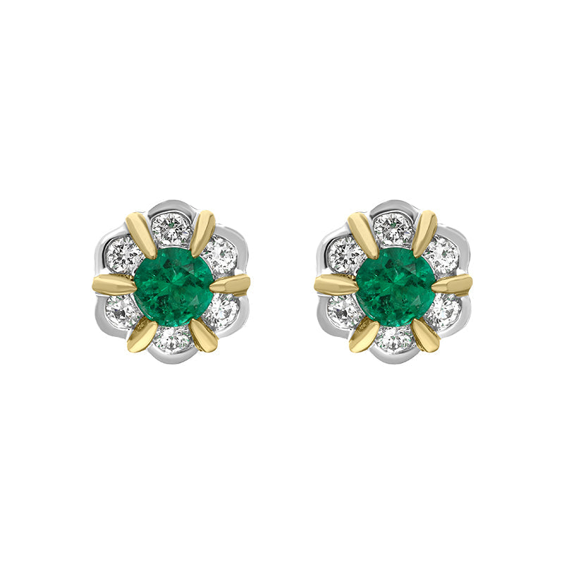 18ct White and Yellow Gold Emerald Diamond Flower Cluster Stud Earrings - White Gold