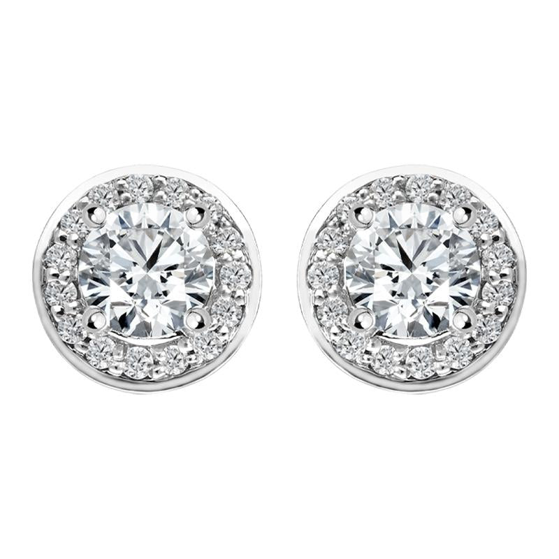 18ct White Gold 0.69ct Diamond Halo Stud Earrings - Option1 Value White Gold