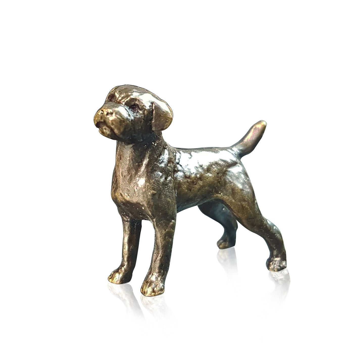 Art In Bronze Border Terrier Figurine