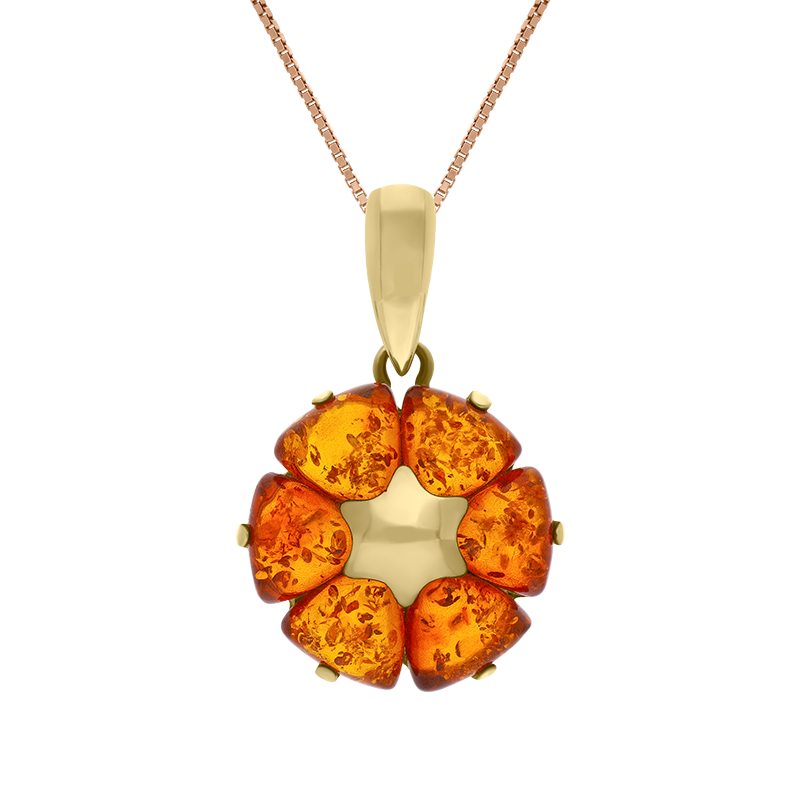 9ct Yellow Gold Amber Flower Pendant Necklace D - Gold