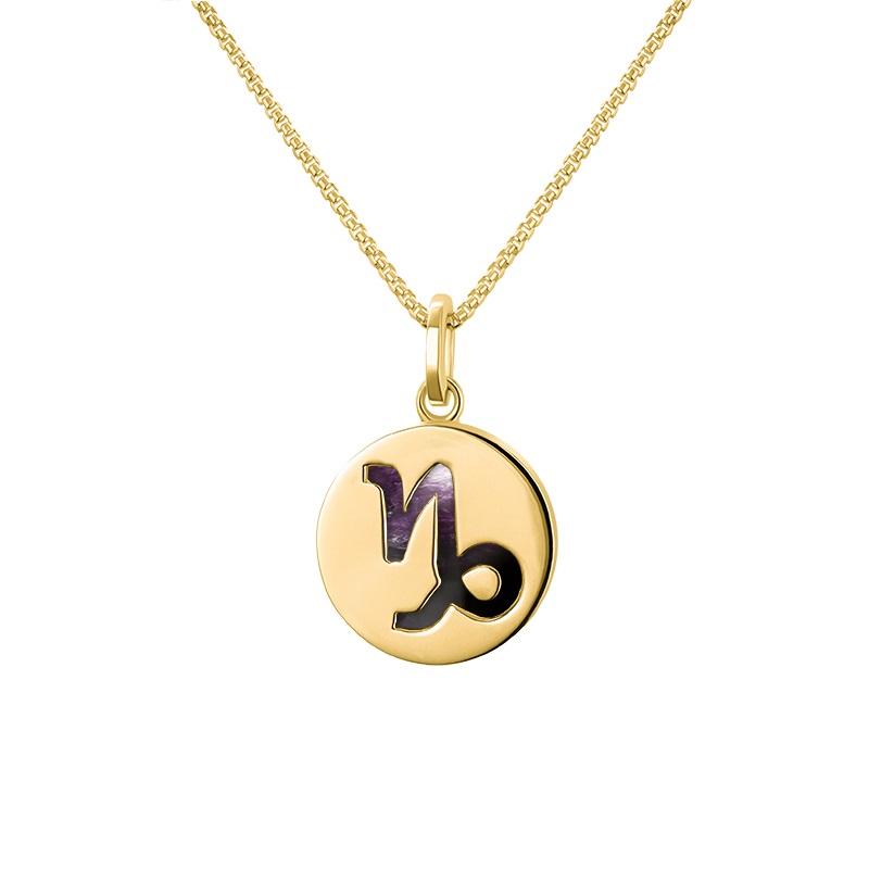 9ct Yellow Gold Blue John Zodiac Capricorn Round Necklace - Gold