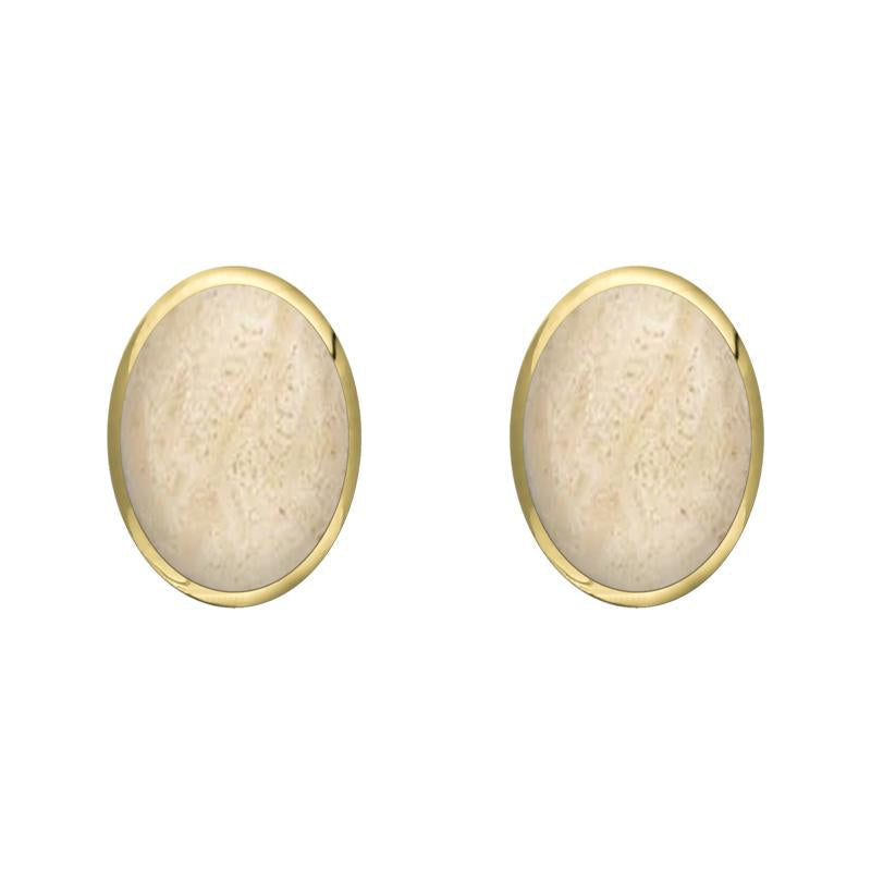 9ct Yellow Gold Coquina 8 x 6mm Classic Medium Oval Stud Earrings