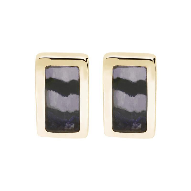 9ct Yellow Gold Blue John Oblong Stud Earrings - Option1 Value Yellow Gold