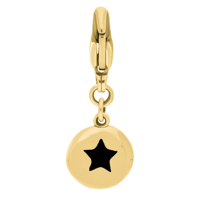 9ct Yellow Gold Whitby Jet Round Shaped Star Clip Charm - Option1 Value Yellow Gold
