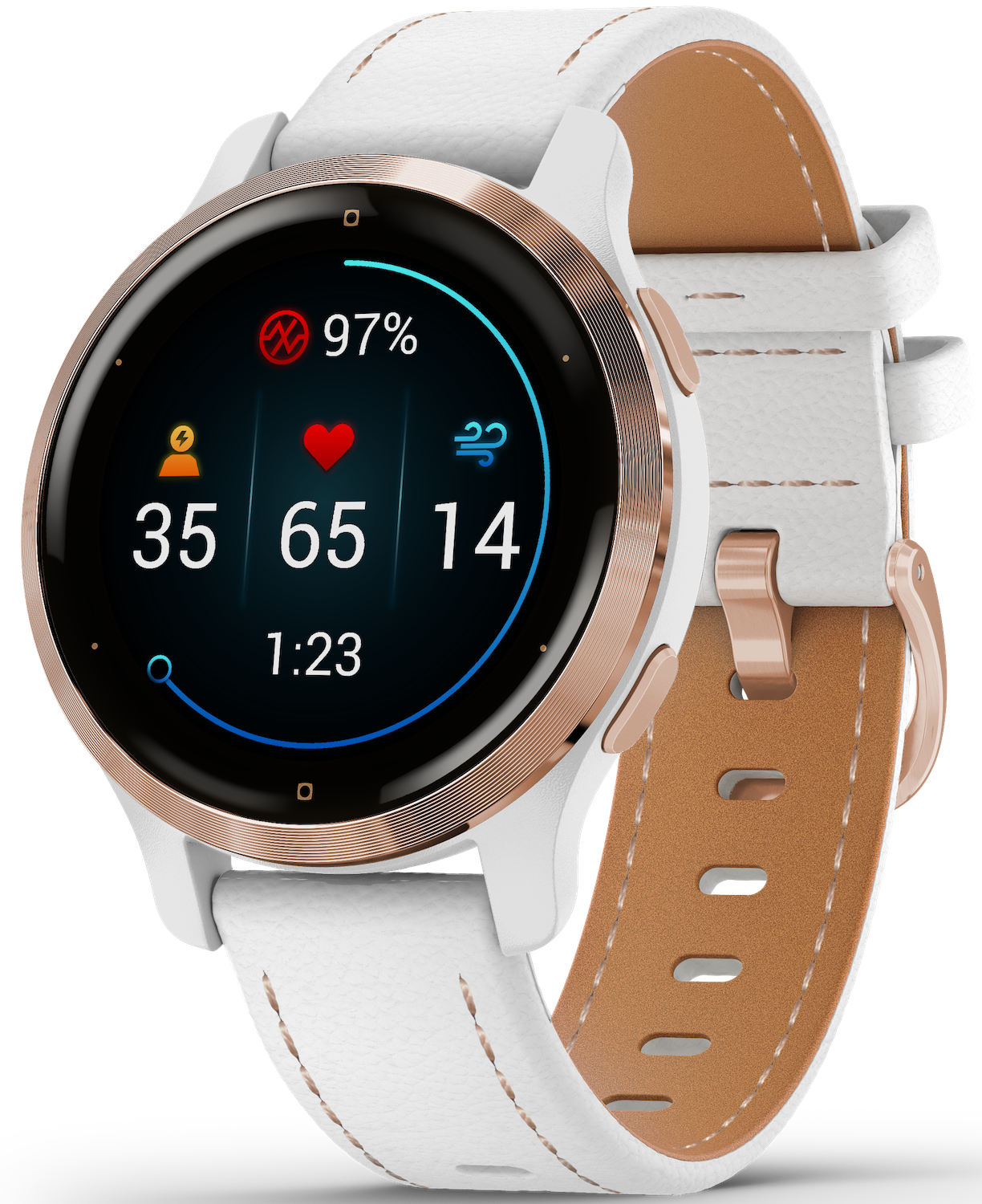 Garmin Watch Venu 2S Rose Gold
