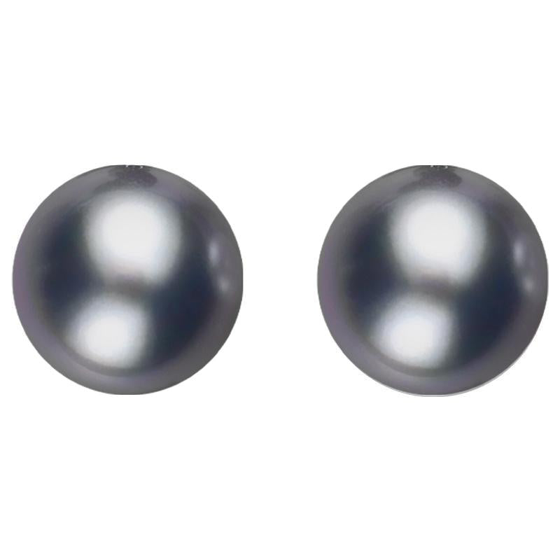 Sterling Silver 10mm Black Freshwater Pearl Stud Earrings - Silver