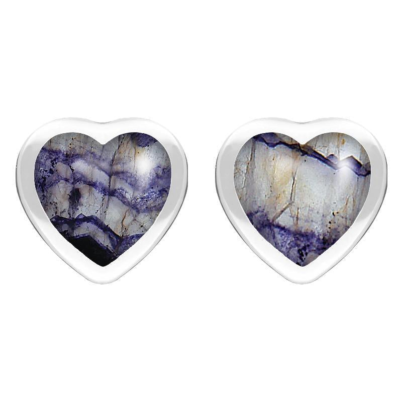 Sterling Silver Blue John Large Framed Heart Stud Earrings - Silver