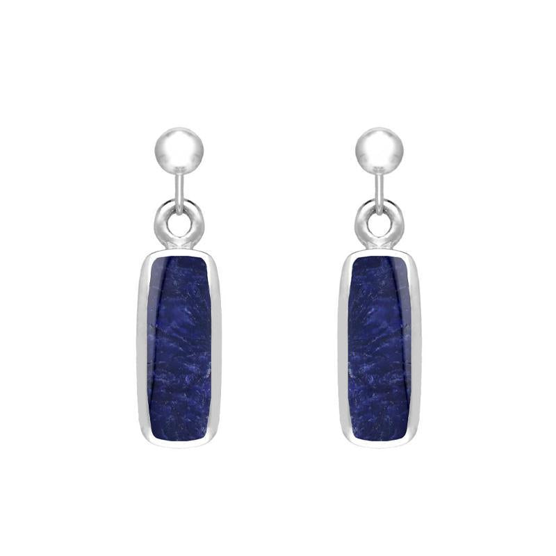 Sterling Silver Sodalite Oblong Drop Earrings
