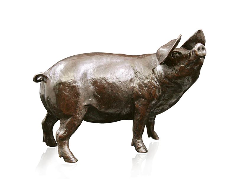 Art In Bronze Medium Gloucester Old Spot Figurine